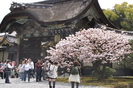japanSpring