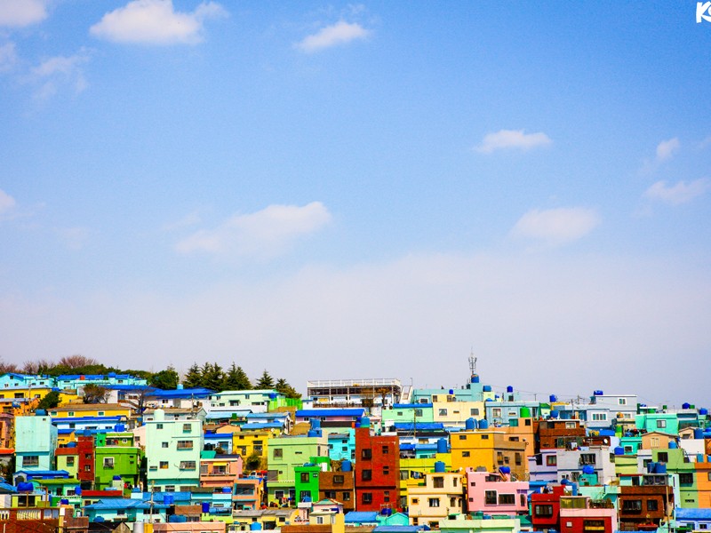 800x6001