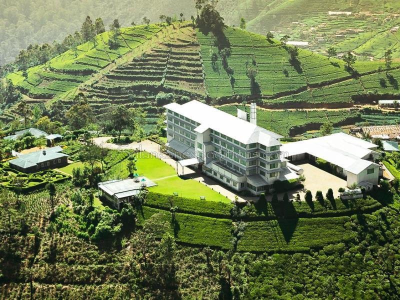 0008 nuwara eliya day 8