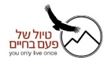 logo_noam.JPG
