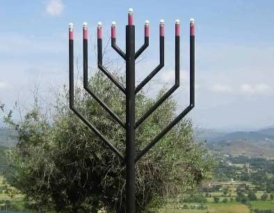 יום 8