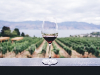 Day 6 - wine