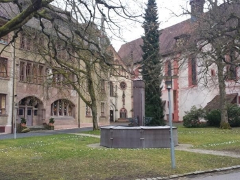 Baden11