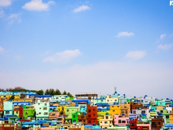 800X6001